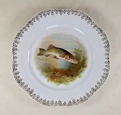 Buy Woods Ivory Ware Fish Plate Pike Transferware 8.5 Inch Gilt Edged Vintage 1930s • 23.67£