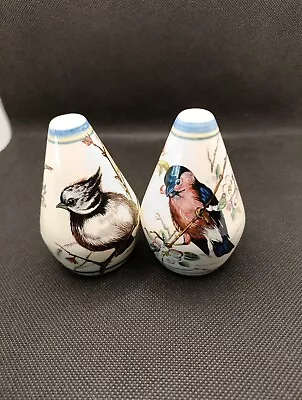Buy Collectable, Brixham Pottery British Birds Salt And Pepper Set, No Stoppers. • 12£