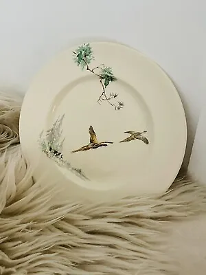 Buy Royal Doulton 'The Coppice' Salad Plate 22 Cm ( Slice Of Cake 😊🍰) • 4.99£