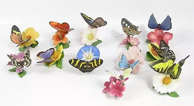 Buy Butterflies Of The World.  Franklin Mint Porcelain Butterflies.  12 Pieces • 50£