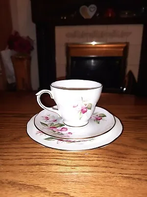 Buy Vintage Tea Cup Trio Duchess ,Fuchia 453,BONE CHINA, ENGLAND. • 4.20£