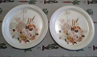 Buy Poole Pottery “Summer Glory” Large 10.5” Dinner Plates X Two • 8£