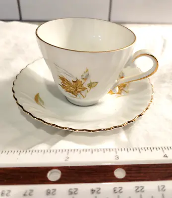 Buy AK Kaiser Tea Cup And Saucer Adriane West Germany White Brown Leaves Gold Trim • 10.52£