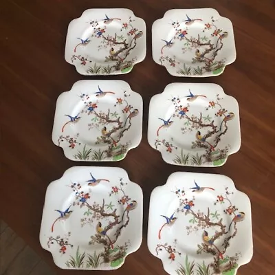 Buy Royal Grafton China  Birds On Branches  Hand Painted Rare Tea Plates 5396 • 109.10£