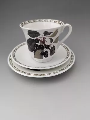 Buy Hookers Fruit Fine China Tea Cup Saucer Plate Trio - Royal Horticultural Society • 16.99£