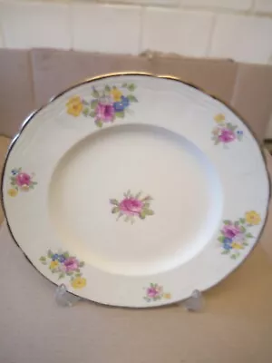 Buy Vintage Alfred Meakin Floral Dinner Plate (24cm) • 5£