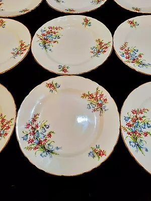 Buy Set Of 9 H M Sutherland Bone China Floral 8  Plate Made In England- Vintage • 28.45£