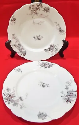 Buy Antique Haviland Limoges Lot Of 2 Luncheon Plates 8½” Pink & Gray Floral • 14.40£
