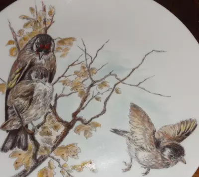 Buy Kaiser Collectors Plate GOLDFINCH • 12.99£