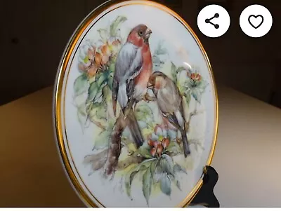 Buy Staffordshire Royal Kent  Birds And Bloom Collectors Plate • 10£