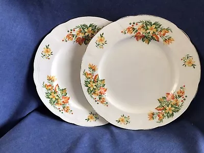 Buy Vintage Alfred Meakin.  Two Plates • 1.45£
