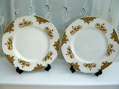 Buy Pair Vintage Grindley  **the Belmont**  Dinner  Plates  ( More Available )  • 8£