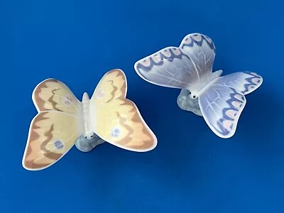 Buy Nao 1465	 Soft Honey Blue & Brown Butterflies • 25£