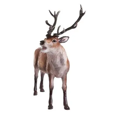 Buy John Beswick Country Animals - Red Stag • 65£