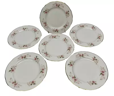 Buy Set Of 6 Duchess Bone China Glen Small Plates ( D37), Tableware, Vintage • 15.97£