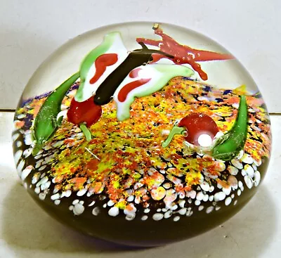 Buy Art Glass Paperweight Underwater Sea Life Scene 4 In Aquarium Colorful - 4” Wide • 18.20£