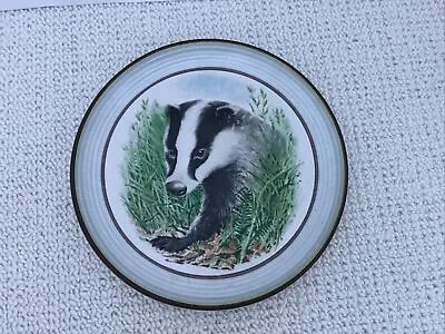Buy Vintage Purbeck Pottery Badger Plate Signed By Arthur Wakelin Diameter 22 Cm • 5.50£