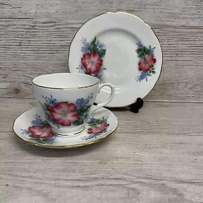 Buy Duchess Bone China Trio Wild Pink Hedge Roses Cup, Saucer And Side Plate • 7.50£