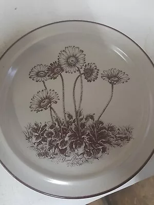 Buy Noritake Stoneware Desert Flowers Series 21cm  Plate 8341 Desert Daisy. • 0.99£