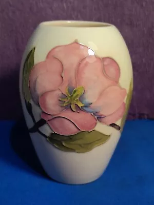 Buy Vintage Moorcroft  Cream With Pink Magnolia Vase • 74£