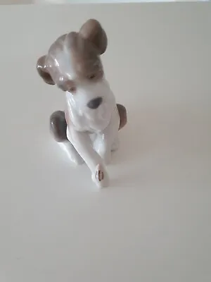Buy Lladro 6211 New Friend Puppy Dog With Snail Porcelain Figurine 13x12x8 Cm • 25£