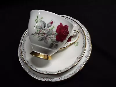 Buy ROYAL STAFFORD Trio ROSES TO REMEMBER China FLORAL , VINTAGE • 9.99£