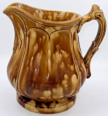 Buy Antique American Rockingham Pottery Jug Pitcher Botanical Handle, Spout Flourish • 52.16£