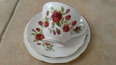 Buy Vintage Duchess Bone China Ruby Roses Teacup, Saucer And Side Plate  • 5.99£