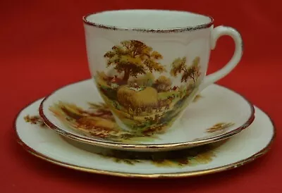 Buy Vintage Alfred Meakin China Trio:  'the Hayride'  Cup, Saucer And Teaplate!  • 13.50£