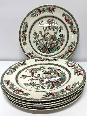 Buy Vintage Johnson Brothers Indian Tree Dinner Plate X 6 Plates Set Blossom 10 Inch • 34.99£