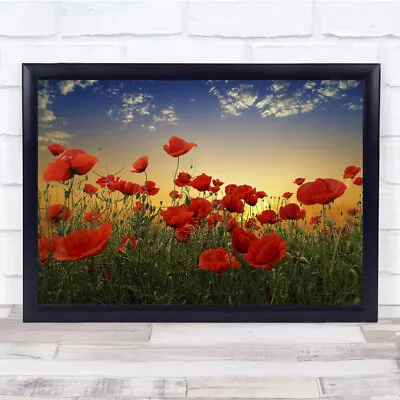 Buy Poppy Field Flower Summer Flowers Landscape Meadow Grass Wall Art Print • 74.99£