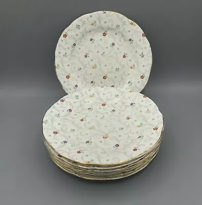 Buy Radfords Crown China 7  Side Plates Mixed Floral Pattern 7820 Set Of 8 • 103.95£