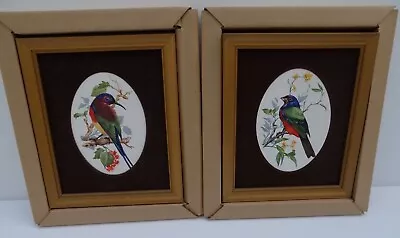 Buy Exotic Birds Ceramic Framed Pictures  Maw & Co. Vintage • 45£
