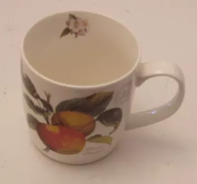 Buy Kew Royal Botanical Gardens Pomme Princesse Fine China Mug  Creative Tops Ltd. • 3.99£