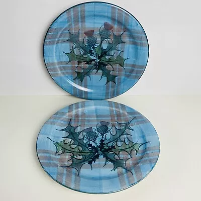 Buy The Tain Pottery Glenaldie Thistle 10  Dinner Plate X 2 • 30£