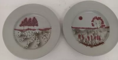 Buy Chris Aston Studio Pottery Decorative Plates X2 Grey Landscapes 30cm • 9.99£
