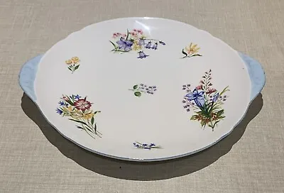 Buy Shelley Bone China Wild Flowers 13668 Plate. REPLACEMENT SPARE. Great Condition • 12.99£
