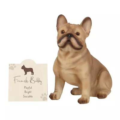 Buy French Bull Dog Ornament Graffiti Figurine Decorative Home Décor  • 16.19£