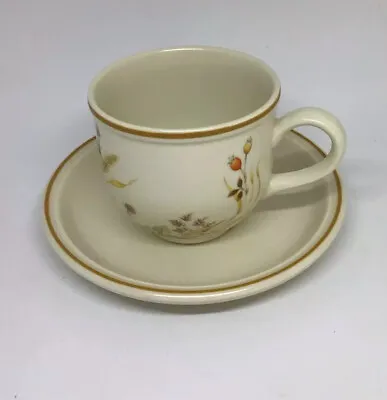 Buy Harvest -    Tea Cup And Saucer -  Marks And Spencer -  Pottery M&s St Michael • 4.25£