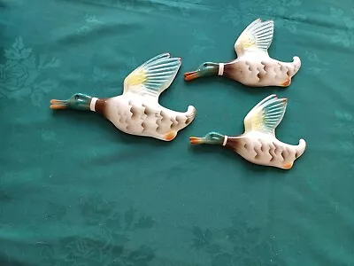 Buy Keele Street Pottery Flying Ducks X3 • 35£