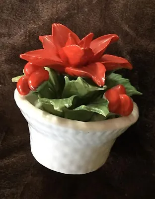 Buy Crown Staffordshire Fine Bone China Flower Red Poinsettia Pot England Vintage • 15.36£