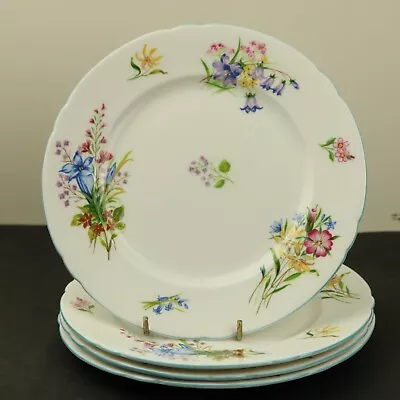 Buy Vintage Shelley Wild Flowers 4x Salad Dessert Plates 20cm 8 Inches #13668 Blue • 27.50£