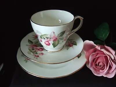 Buy Vintage Duchess Bone China FUCHSIA Trio Tea Cup Saucer Tea Plate • 4.50£