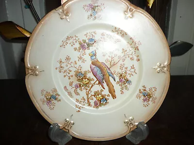 Buy  Vintage Royal Ducal Blush Ware Fantastic Bird Side Plate • 5£