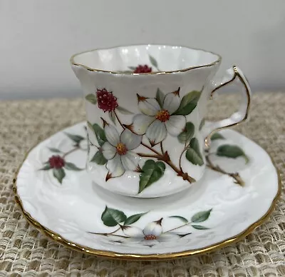 Buy Dogwood Blossom Tea Cup & Saucer Set Bone China Hammersley & Co England • 23.62£