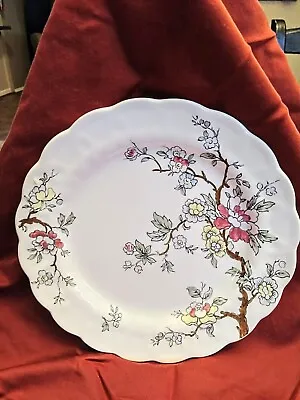 Buy Booths Chinese Tree A8001, China Salad Dessert Pie Plate 7 1/2,   England • 6.08£