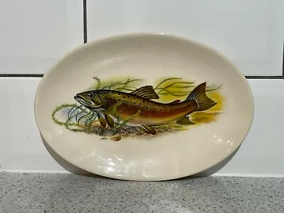 Buy West Highland Pottery Co Ltd Salmon / Trout Oval Plate Dunoon Argyll Scotland • 15£