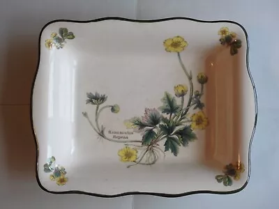 Buy Prinknash Pottery Florabunda, Ranunculus Repens Oblong Serving Dish. VGC. • 7£