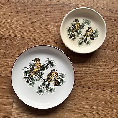 Buy Duo Of Thrush Bird Plates - Hornsea Pottery And Guild Crafts Collectibles • 8£