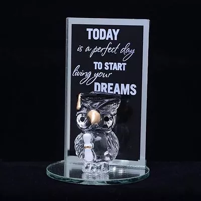 Buy Graduation Gifts Teddy Bear Owl Plaques Glass Crystal Book Ornament Poem Message • 7.89£